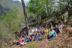 Equipo que ha participado en la restauración de un cortín de abejas en zona de urogallo cantábrico