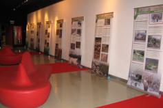 Exposición sobre el urogallo cantábrico en la localidad asturiana de Muros de Nalón