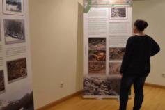 Exposición sobre el urogallo cantábrico en Ribadesella (Asturias)